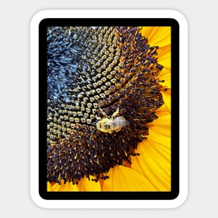 Sunflower and the Bee Sticker